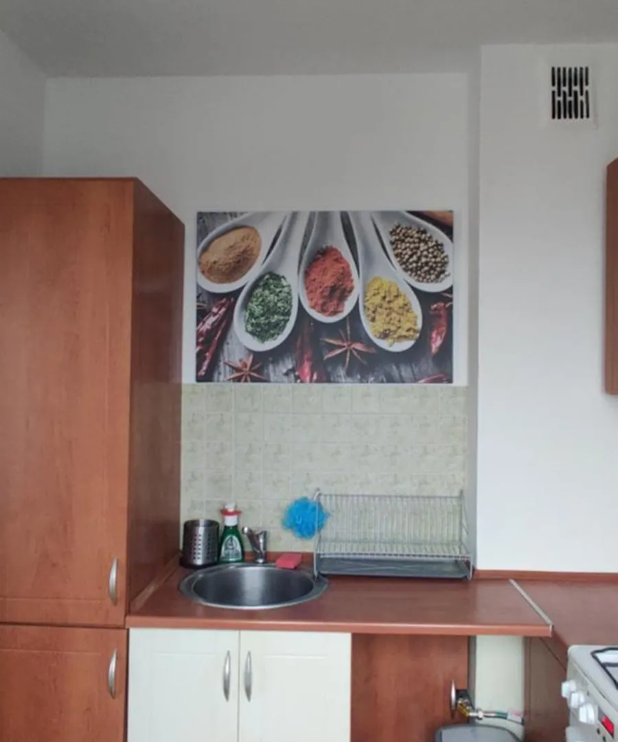 Sloneczna Kawalerka Apartment Gdansk